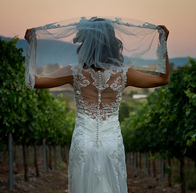 Hochzeitsfotografie in einem Weingut in Kalifornien